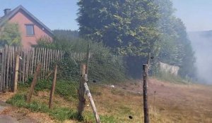 Départ de feu au sommet de la Haute Levee à Stavelot, dans une prairie couverte de ronces à l'oree d'un bosquet, pres d'habitations (villas)