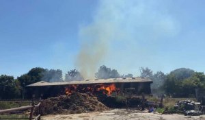 Ardennes: incendie d'un hangar agricole à Eteignères