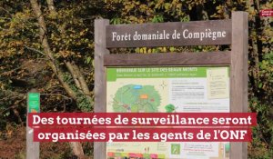 Risques incendie: des mesures d’interdiction dans les forêts de l’Aisne, l’Oise et la Somme