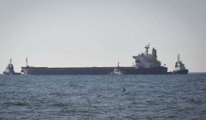 Céréales : 12 navires ont quitté les ports ukrainiens