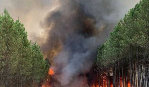 Feux en France : 6 000 hectares brûlés en Gironde depuis mardi