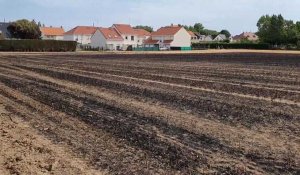 Coulogne: après l'incendie de champ qui a touché des habitations