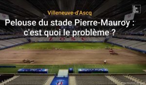 Pelouse du stade Pierre-Mauroy à Villeneuve-d'Ascq : c'est quoi le problème ?