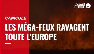 VIDÉO. Canicule : les incendies touchent toute l'Europe