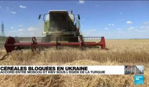 Céréales bloquées en Ukraine : la signature de l'accord entre Kiev et Moscou est imminente