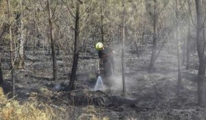 Incendies contenus en Gironde, 6 000 personnes retrouvent leur domicile