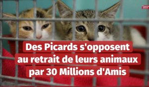 Ces Picards s'opposent au retrait de leurs animaux par 30 Millions d'Amis