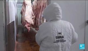 "Guerre de la viande" en Argentine : les producteurs en grève après l'interdiction d'exporter
