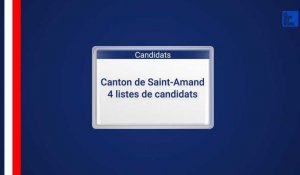 Départementales : canton de Saint-Amand-les-Eaux