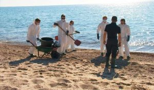 Corse: ramassage de galettes d'hydrocarbures sur la plage de Solaro