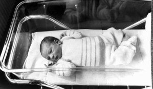 PMA : de la prouesse scientifique au premier bébé né