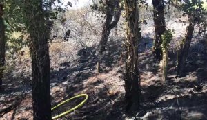 Un feu détruit plusieurs centaines de mètres de broussailles à Sangatte