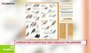 Ma Planète : opération comptage des oiseaux fin janvier