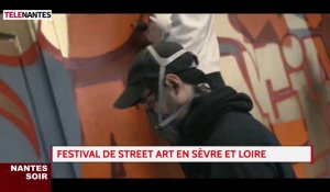 Festival de street art en Sèvre-et-Loire