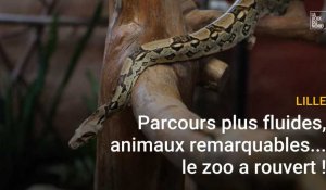 Lille : le zoo a rouvert