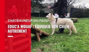 VIDÉO. À Châteauneuf-du-Faou, l'association Educ'A Wouaf éduque les chiens en douceur et dans la convivialité