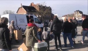 Avesnes-sur-Helpe: adoption de poules de réforme grâce aux Ch'tites Cocottes 