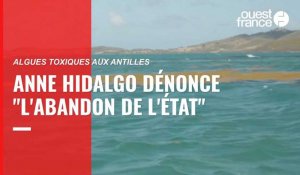 VIDÉO. Présidentielle. En Martinique, Anne Hidalgo dénonce "l'abandon de l'Etat" face aux algues toxiques