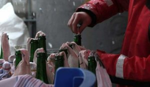 En Ukraine, une brasserie passe de la bière aux cocktails Molotov