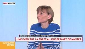 La Chronique Expos : "l'âme de la forêt" au Musée d'Art de Nantes