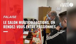 VIDÉO. Le salon multicollections de Falaise : un rendez-vous entre passionnés