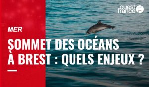 VIDÉO. One Ocean Summit à Brest : quels sont les enjeux ?