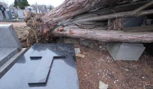 Roubaix : La tempête Eunice fait des dégâts impressionnants au cimetière 