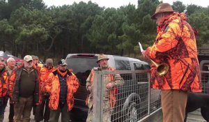 Battue aux sangliers sur le golf du Touquet : les chasseurs sont repartis bredouilles