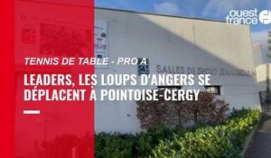 VIDÉO - Tennis de table. Les Loups d’Angers, leaders de la Pro A, assument « ce statut de favori »