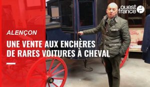 VIDÉO. 35 voitures à cheval anciennes bientôt vendues aux enchères à Alençon