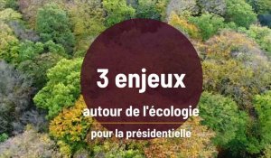 3 enjeux liés à l'écologie pour la présidentielle
