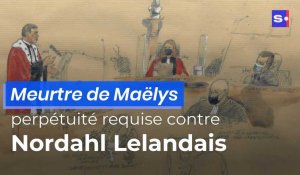 Meurtre de Maëlys : perpétuité requise contre Nordahl Lelandais