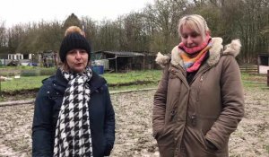 Les jardins miniers d’Auchel menacés de destruction