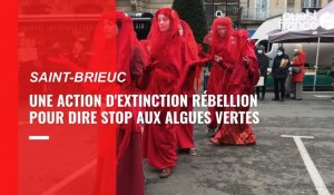 VIDÉO. Le groupe Extinction Rébellion manifeste contre les marées vertes à Saint-Brieuc 