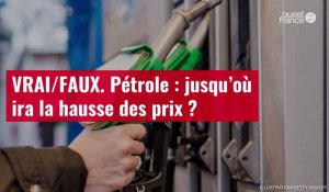 VIDÉO. VRAI/FAUX. Pétrole : jusqu’où ira la hausse des prix ?