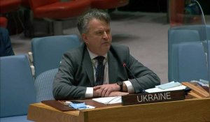 L'Ukraine demande à l'ONU "de mettre un terme à la guerre" (ambassadeur)