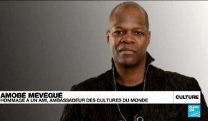 Youssou N'Dour, Stomy Bugsy, Aïssa Maïga...rendent hommage à Amobé Mévégué
