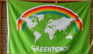 Environnement : Greenpeace fête ses 50 ans, sans triomphalisme