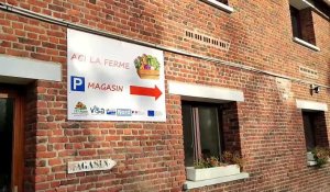 À Wavrin, la ferme des Petites Haies organise une journée portes ouvertes