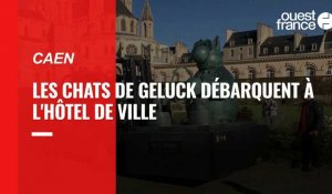 VIDÉO. Les Chats géants de Geluck débarquent à Caen