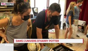 Harry Potter : Nantes aussi a ses fans