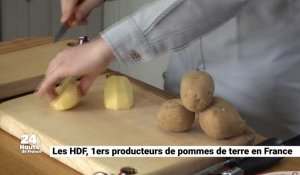Les Hauts-de-France, 1er producteur de pommes de terre en France