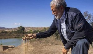 Au Maghreb, l'agriculture meurt de soif : les sécheresses à répétition ruinent les récoltes