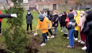 Quatre arbres remarquables plantés à Ham par les enfants