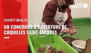 VIDÉO. À Saint-Malo, un concours d'ouverture de coquilles Saint-Jacques