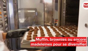 Des gâteaux vegans faits en Ille-et-Vilaine