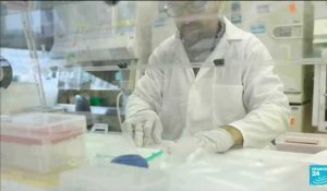 Variant Omicron : les laboratoires travaillent sur une nouvelle version de leur vaccin anti-Covid