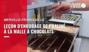 VIDEO. Merville-Franceville. Leçon d'enrobage de pralinés au chocolat par le chef chocolatier-pâtissier Stéphane Marie