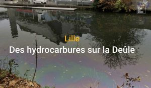 Lille : pollution aux hydrocarbures sur la Deûle