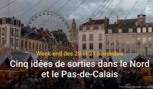 Cinq idées de sorties dans le Nord et le Pas-de-Calais les 20 et 21 novembre